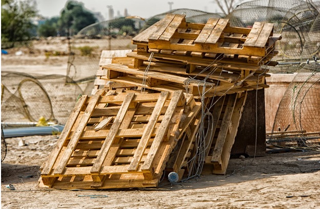 Skid Steer Loader 